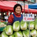 경북통상 농산물 산지유통센터 | 김장 배추 가격 2025년 10월 실시간 분석 - 11월 김장 앞두고 지금 사야 할까 기다려야 할까? 전문가가...