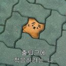 인턴, 합니다! #6_스나이퍼팩토리 UX/UI 인턴형 프로그램 7기