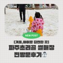 비밀의하원 | 겨울,아이랑 갈만한 곳 추천 이른 하원하고 다녀온 진짜 후기☃️ (방문tip-동선 꼭 확인하고 가세요👀!)