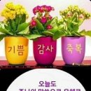 원숙한 신앙인 이미지