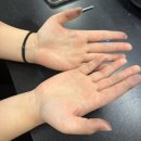 람지샌드 이미지