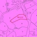 상대리[동] 네이버블로그