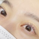 유니크제이드 수원인계속눈썹펌 | 인계동 속눈썹펌 노글루펌 유니크제이드 수원인계속눈썹펌