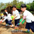 애기똥풀 어린이집 이미지