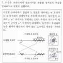 히스톤 메틸화 관련 ㅇㅇㅁ 모고 질문 이미지