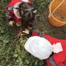 주환농장 이미지