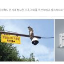 에스에이티