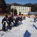 태화초등학교 네이버블로그