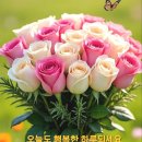남도여행 하동 화개장터ㅡ 구례 사성암 구례 화엄사 ㅡ 이미지