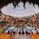 스플래시리조트 이미지