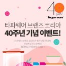 타파웨어(베스트) 이미지