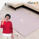 (주)한솔라이프 이미지