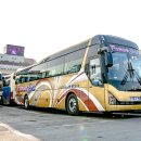 순천-44호 이미지