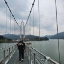 국화애견하우스 이미지