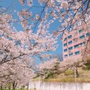 수원과학대학교 이미지