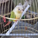 목포원광한방병원 이미지