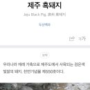 하루방똥돼지
