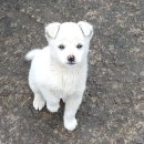 대박농장 이미지