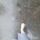 비에스알 주식회사 네이버블로그