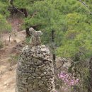 곡성-226 이미지