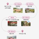 스테이포롱