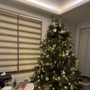 아일펜션 | 제주도 아기데리고 갈만한 단체 독채펜션 비마이아일 내돈내산 후기