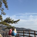 가우도장금이