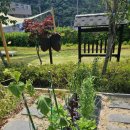 6.15 농장 이미지