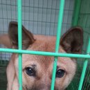 회성동225 이미지