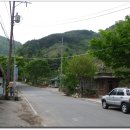 단천민박 Daum카페