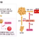 매일식품 이미지