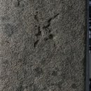 감악산비 이미지