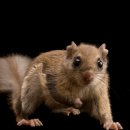 gc-camera-040 이미지