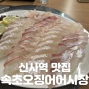 바다어시장 | 신사역 횟집 | 오늘 회는 여기다! 바다를 통째로 즐기기 [속초오징어어시장] 솔직후기