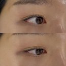 엘리 | 대전 속눈썹펌 | 봉명동 “엘리뷰티” 후기