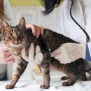 나을동물병원 이미지