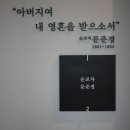 증도 이미지