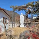 상신농장 이미지