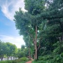 웃말공원 화장실 이미지