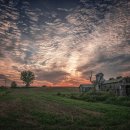 호야목장 이미지