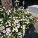 횡성군농기계임대사업소 | 정읍 귀농귀촌학교 후기 2탄 / 시골 향기 가득한 나날들