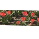 유앤미공인중개사사무소 이미지