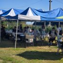 서울농장 | 아이들과 서울근교 당일치기 힐링여행 도라산 사과농장 체험 후기