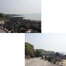 바당정원I | [제주도여행] 2014.06.13 I ♡ Jeju - 2박3일 제주여행코스 ,제주도 가볼만한곳