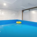 퍼니멍멍 이미지