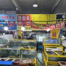[삼길포 횟집] 영창호수산 삼길포수산물직매장 🐠🐟 우럭 회 포장 후기