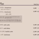 노부스테라 이미지