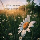 레드인카페갤러리
