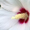 무궁화한의원 이미지