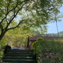 고산자연휴양림 관리사무소 이미지